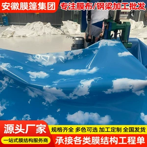 [车棚pvc膜布篷布加工推拉蓬防雨防水布加工 pvdf快速门门帘布批发]