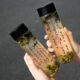 New National Style Calligraphy Cold Brew Tea Plastic Bottle Disposable Transparent with Lid Lanting Preface Cold Brew Tea Bottle Packaging Wholesale