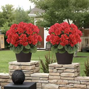 ���R�d���N�L���溣�Ļ��ٻ���c�Ҿӿ͏d���ÿ��z���羳���컨