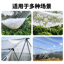 防雹网聚乙烯抗老化果树防护网农场果园果蔬花卉养殖高密度防雹网