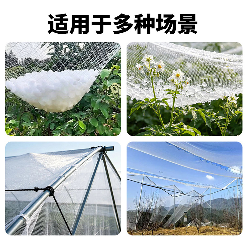 防雹网聚乙烯抗老化果树防护网农场果园果蔬花卉养殖高密度防雹网