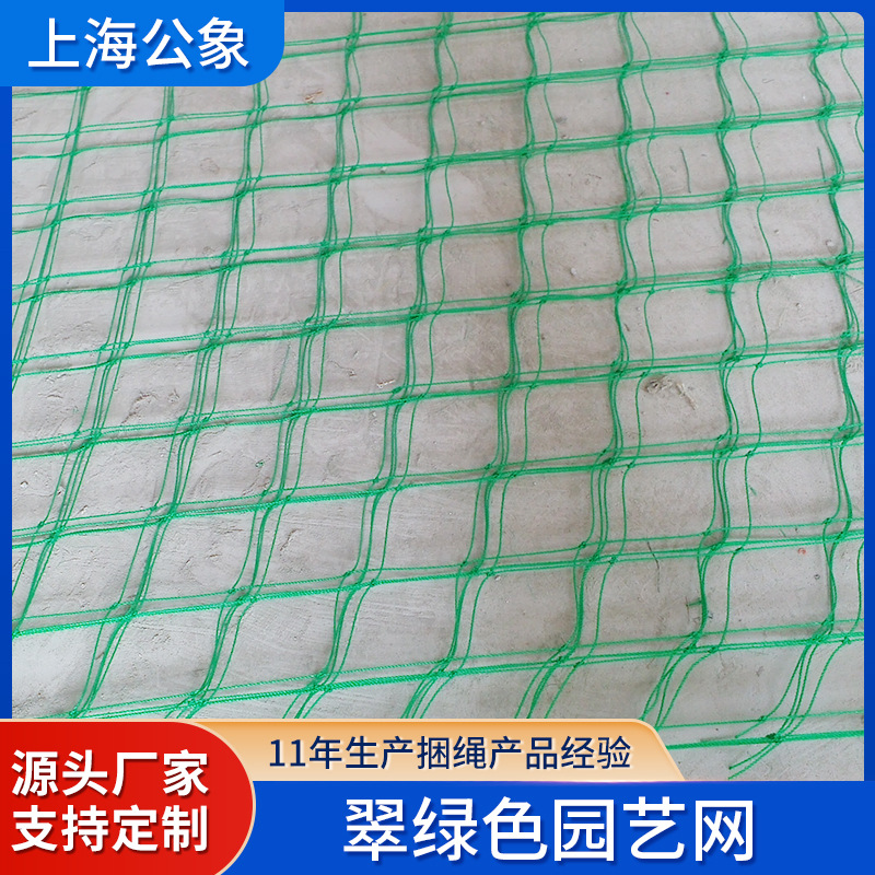 跨境加强版尼龙牵牛花攀爬植物家用种植园艺网孔方格网植物爬藤网