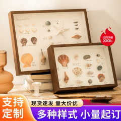 贝壳中空相框批发立体干花永生花摆台DIY手木质创意装饰标本框