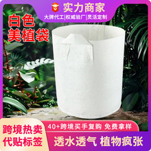 无纺布种植袋白色加厚种菜盆园林苗圃用育苗袋植树袋种植盆美植袋
