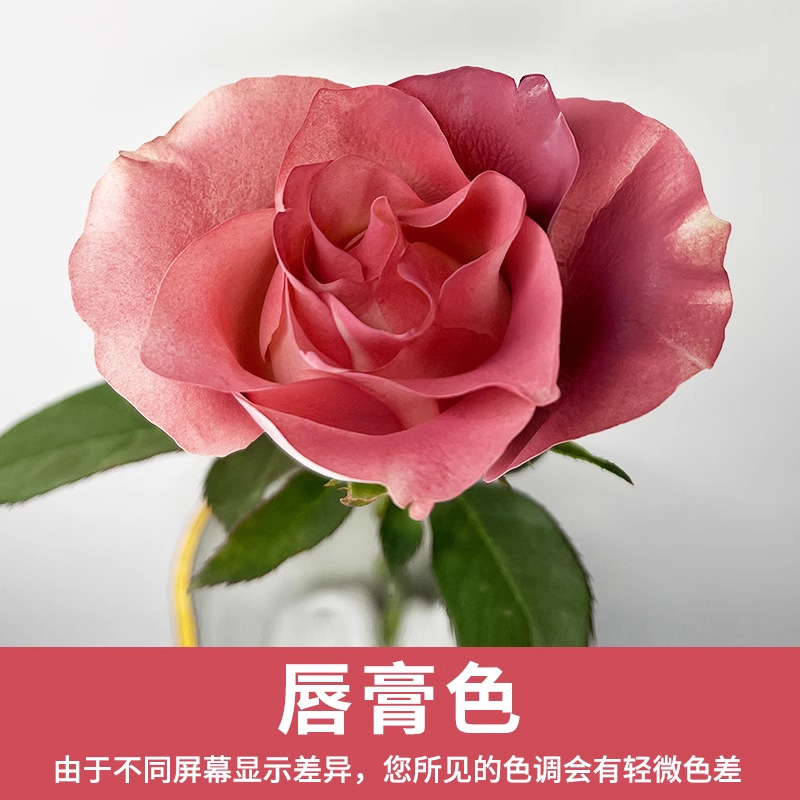 Material de embalaje de flores frescas Agente de tinción en aerosol de flores secas Salsa de ciruela negra Pintura en aerosol de flores Pintura en aerosol de flores Agente de color de flores