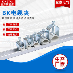 Really Manufacturers Supply BK14 BK18 BK22-bk100 Metal Cable Clamp RoHS Certified Day Delivery