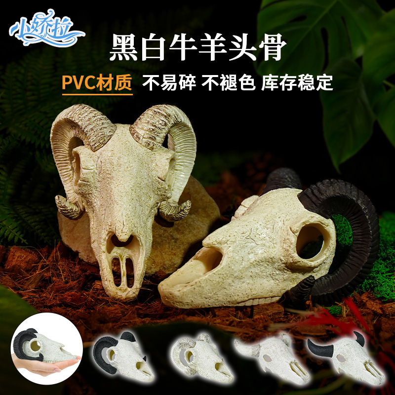 Dinosaur cráneos esquivando casa nueva mascota trepador vaca oveja animal paisajismo simulación hueso pecera decoración decoración decoración transfronteriza