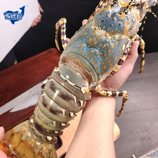 ����S���]�������|ɽ�u�����r5���ش�������r�����������r