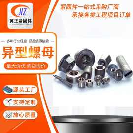 加工非标螺母t型圆柱加长异形焊接手拧预埋注塑螺丝