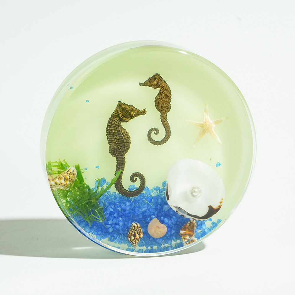 Luminous scene of seahorses playing