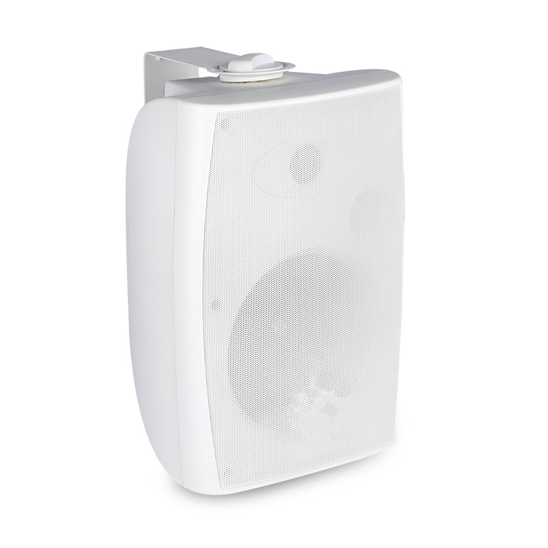 Ventas directas de fábrica IP-6 solo 6 pulgadas de dos frecuencias té restaurante cafetería salón de belleza supermercado centro comercial colgante de pared Audio