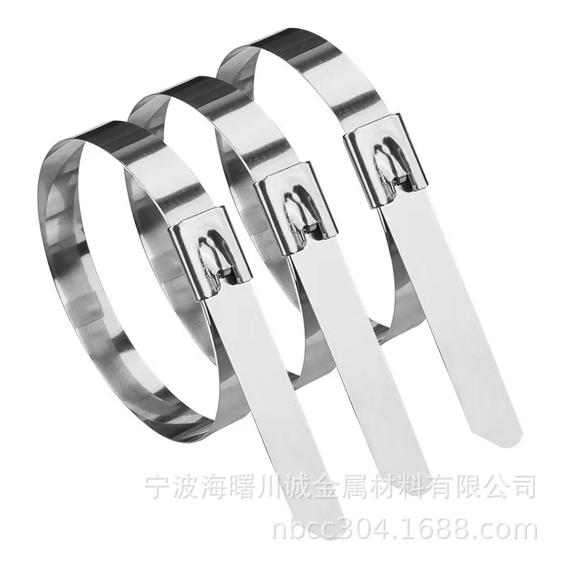 厂家现货供应不锈钢自锁式扎带 201金属不锈钢捆绑带0.25*4.6*100