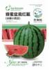 Potted rock sugar small watermelon seeds Polycrosis red 瓤 thin super sweet four seasons sweet watermelon seed seed seeds
