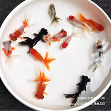 С���~���^�p�~��ˮ�ͻ���B�~��ˮ�t���\�����~С���~�ݽ��~���~