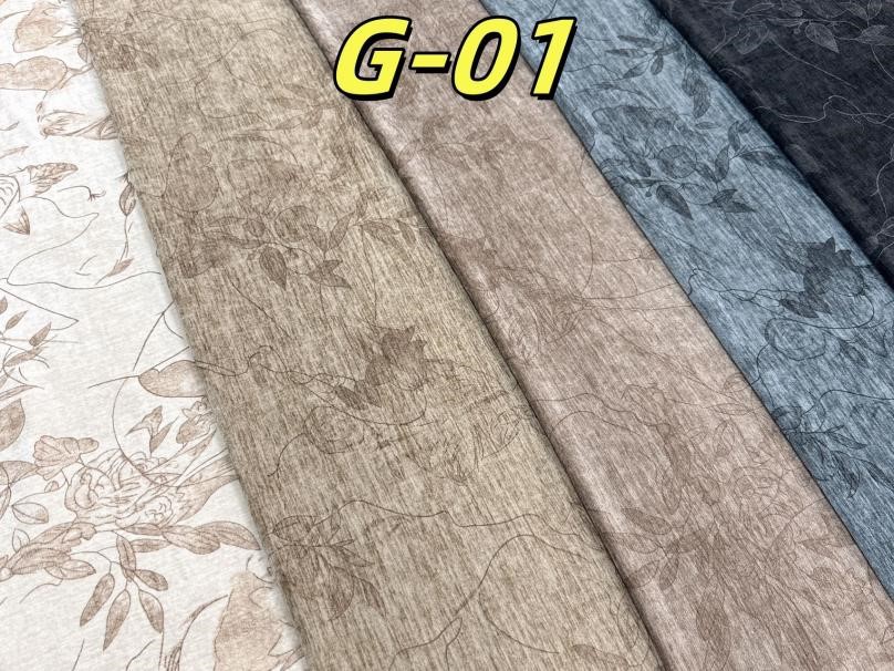 G01.jpg