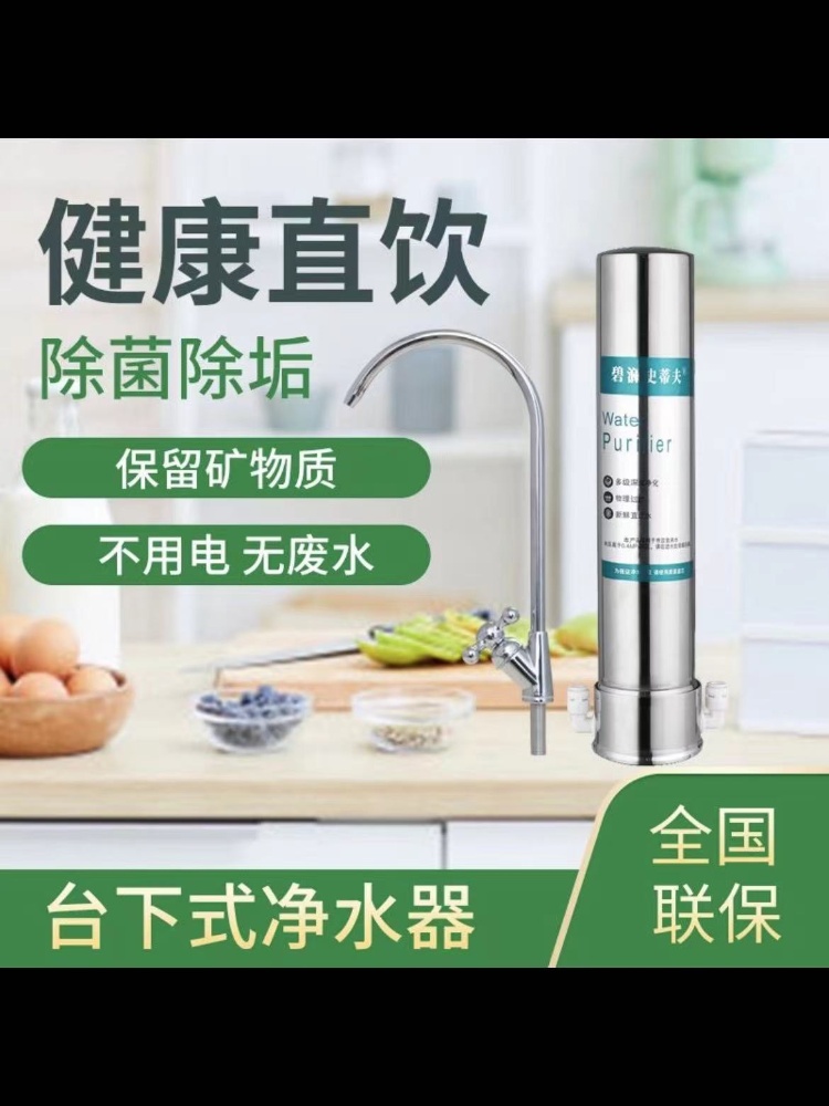 Wholesale [under Counter Model] Steve Water Purifier for Home Direct Drinking Kitchen Stainless Steel under Counter Faucet