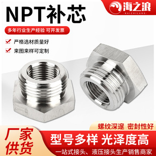 304���P��aо���^�����ݼy���^NPT�ݼy���ƃ���z׃���ܽ��^�S��