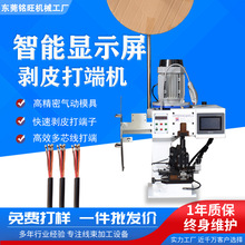 �o�����әC�B������C�o�׾���о�����әC���әC�ԄӶ��Ӊ����C