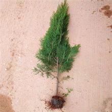 ȱؘ瞢СļͺGəu؂ȰĹ