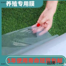 尼龙纸透明阳台加厚大棚膜透明封窗保温防水塑料纸窗户工具施工