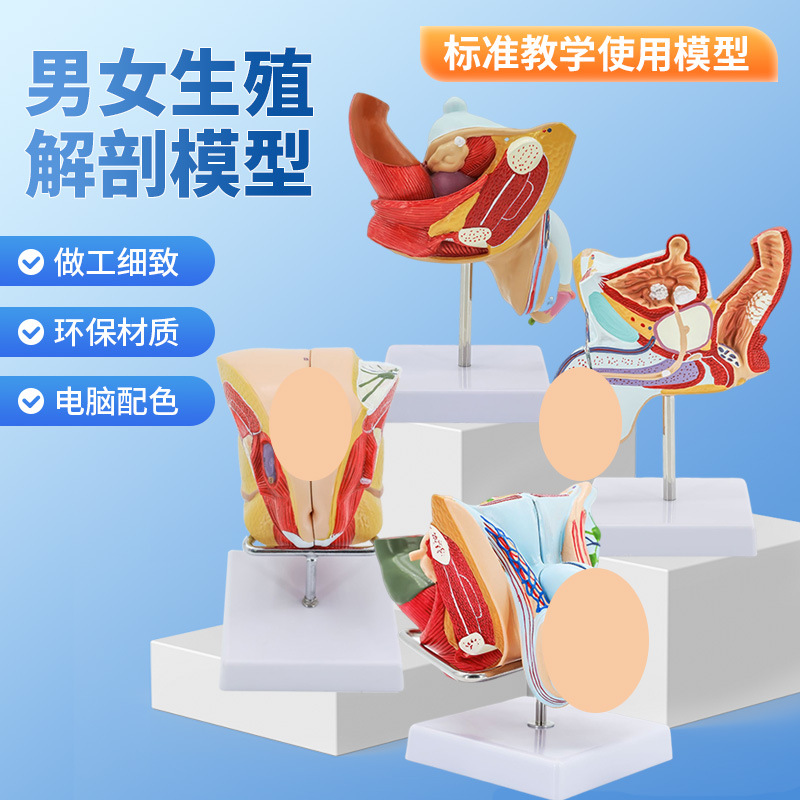 ����������ֳ����ģ�� ��̬������ֳ����ģ�� غ��ģ�� ����ģ��