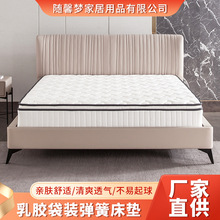 出租房乳胶袋装弹簧床垫 单双人软硬两用床垫 3E环保棕垫厂家批发
