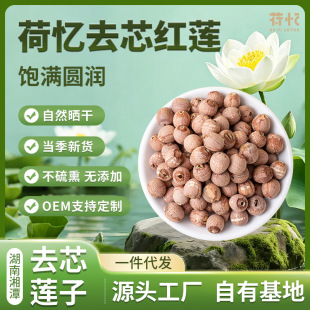 ȥо�tɏ��؛ͨ�ļtɏ��500g �w��M�o���Ҝ������B��ʳ�����l