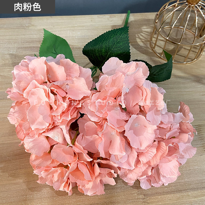 Meat pink (5 beams per color, less shots, no hair)