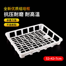 厂家直销组培托盘 塑料组培盘批发 耐高温组培框 园艺育苗盘