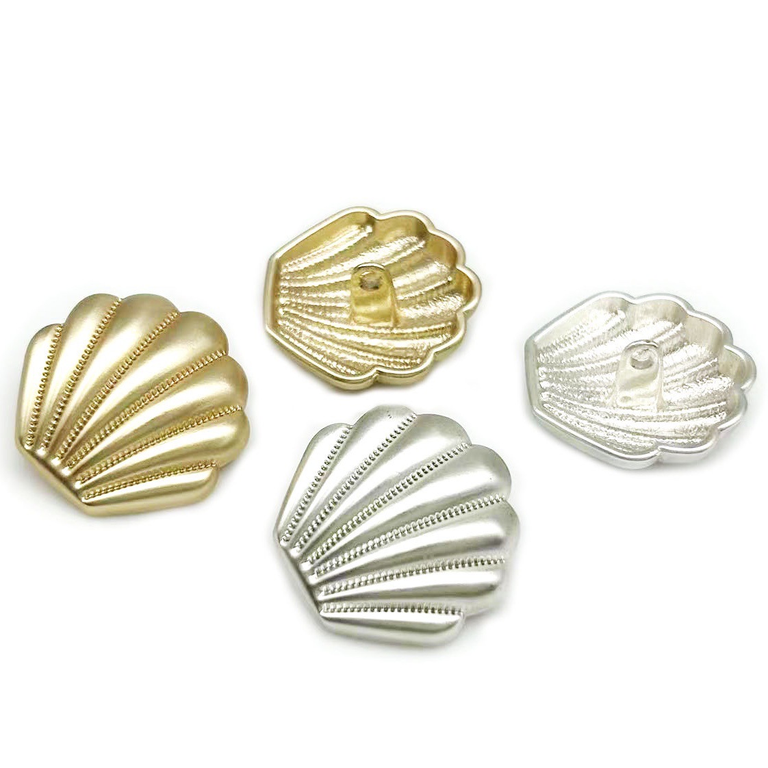 IMG_1463(20231103-163153)