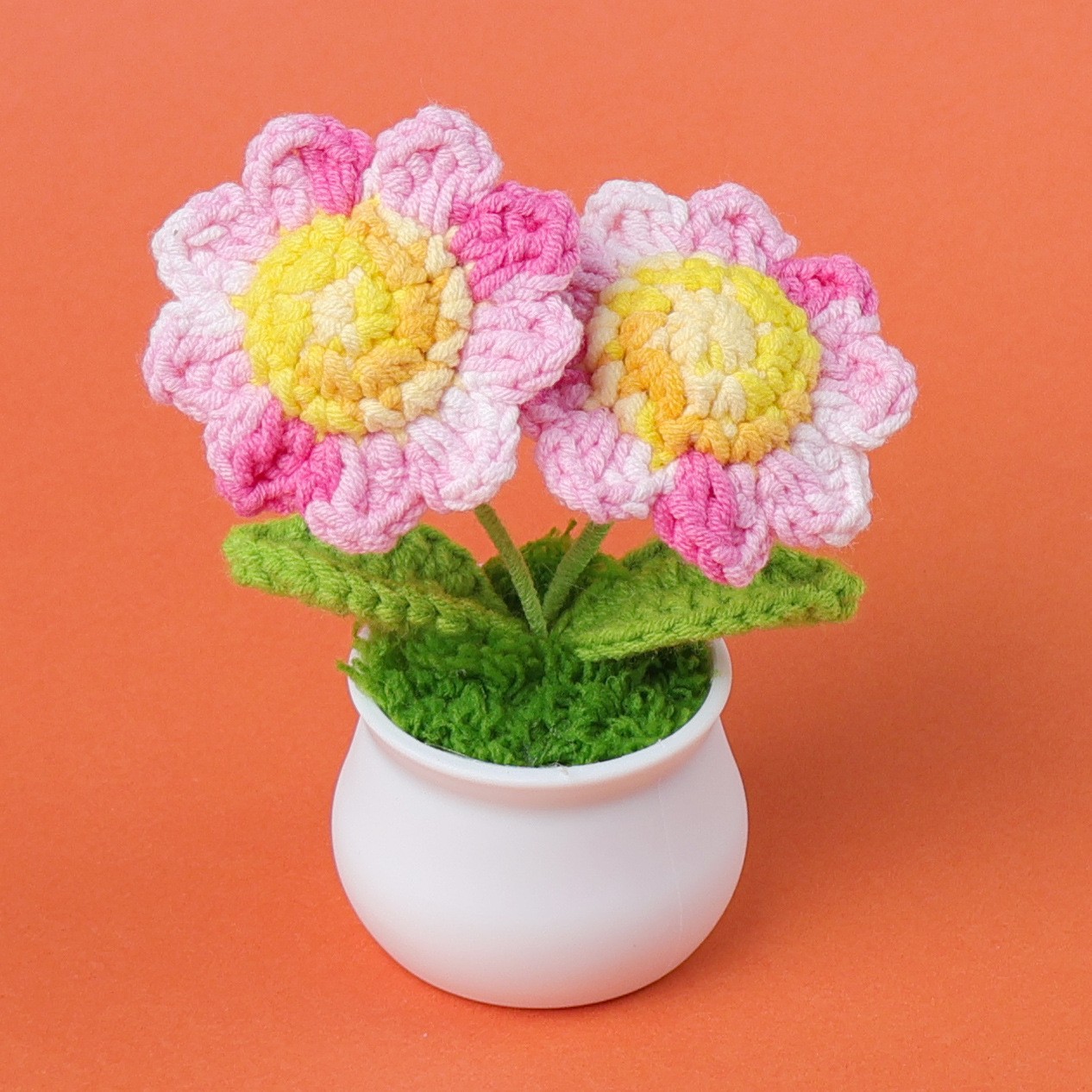 Maceta de cinco girasoles de nieve de dos cabezas - Sección rosa teñida