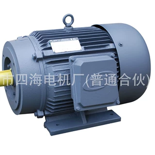 高效三相异步电机Y-315S-2 110KW