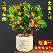 �ļ�������Ԏ����������Ә�������ؔ����С���ӾGֲ�����ֲ̨��