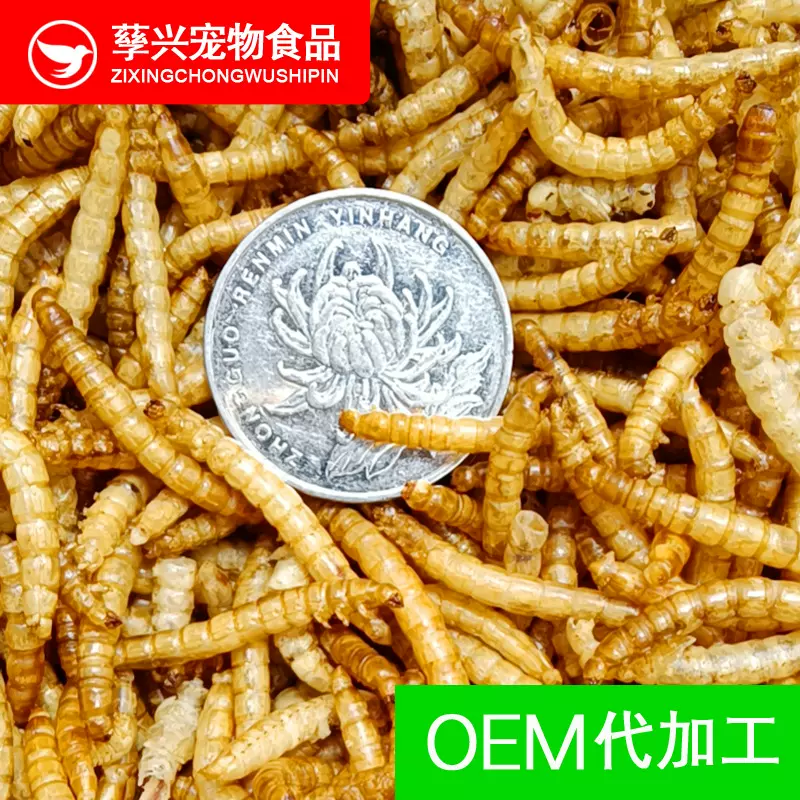 厂家加工供应黄粉虫干面包虫干活体养殖盒窝头宠物仓鼠