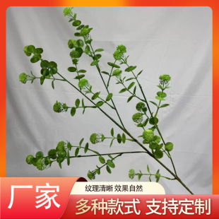 ����ֲ��ٻ��Ҿ��Ʒ��Ȼ���·���Gֲ���l��֦��ؔ[�����滨