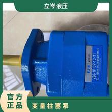 VICKERSDʿ׃PVM045ER06CS02AAA28000000A0A