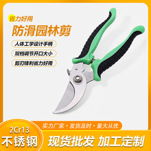 ���P���֦�����๦���辰�@ˇ��ʡ�����@��֦��@�֘�֦��������