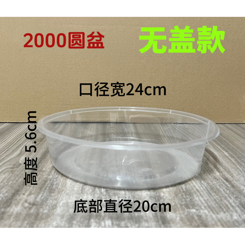 YC sin formaldehído cuenca desechable sin cubierta cuenca en forma de sandía caja de frutas para llevar picnic maceta de absorción