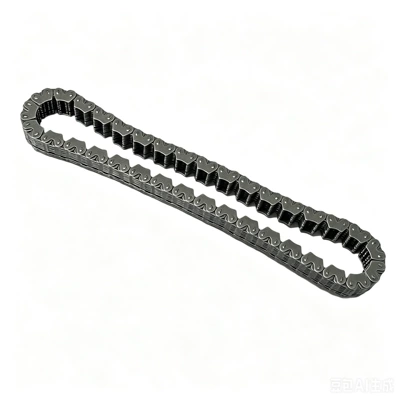 Other drive systems chain is suitable
