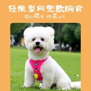 �����ر���С��Ȯ�p��͸�ⱳ������̩�ϱ����������Ó�޹��K�ļ�