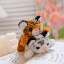 �羳����С�ϻ������N���пɐ�ë�q�����Ф�|������ż�׻�������