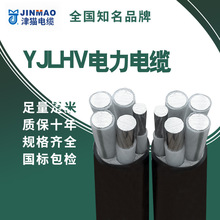 天津小貓4*50+1鋁合金絕緣電力線YJLHV電纜線國標電線批發多型號