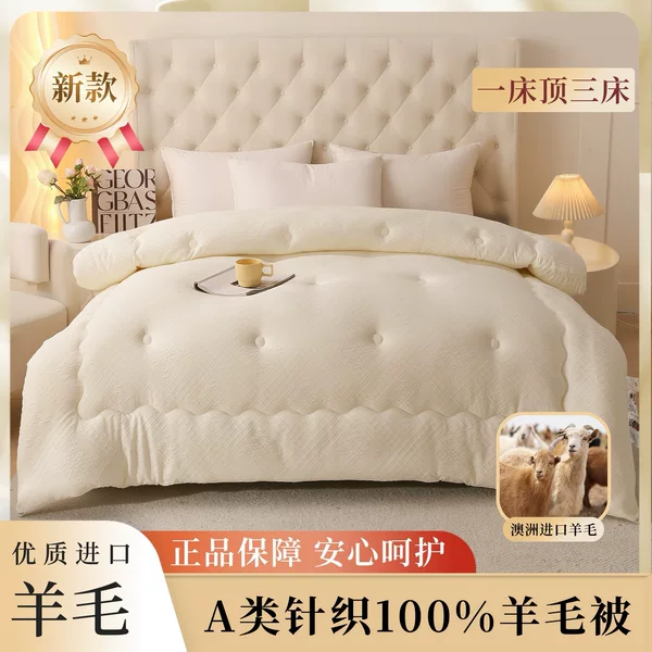 2026 New Model A-Grade Knitted Jacquard Wool Quilt Winter Quilt Duvet Insert Double Dormitory Student Single Integrated Quilt