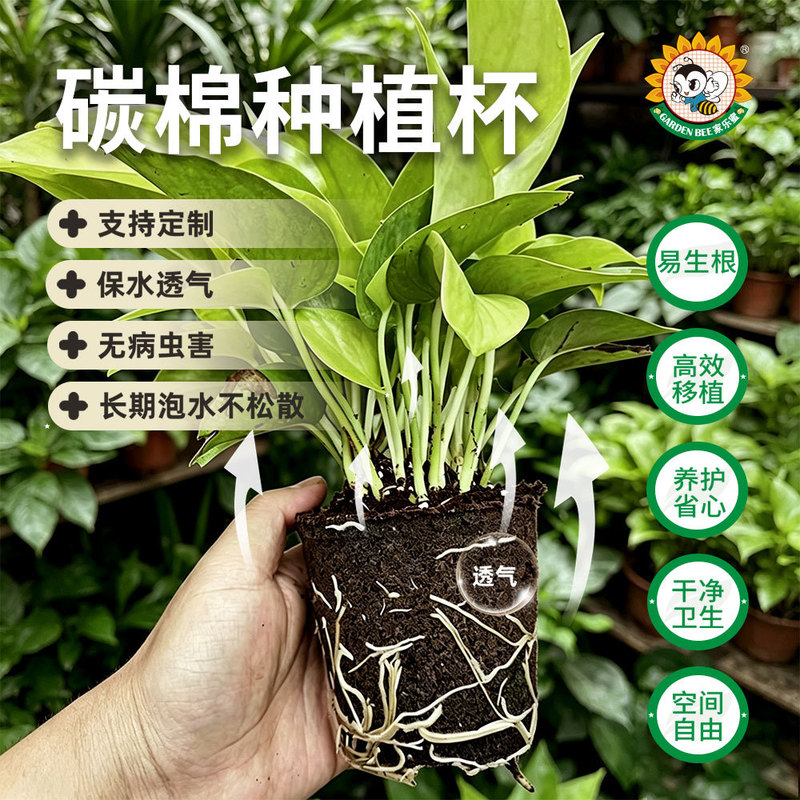 Clay Planting Cup Soilless Cultivation Organic Seedling Cup Green Plant Flower Succulent Cultivation Potted Clay Nutrition Bowl