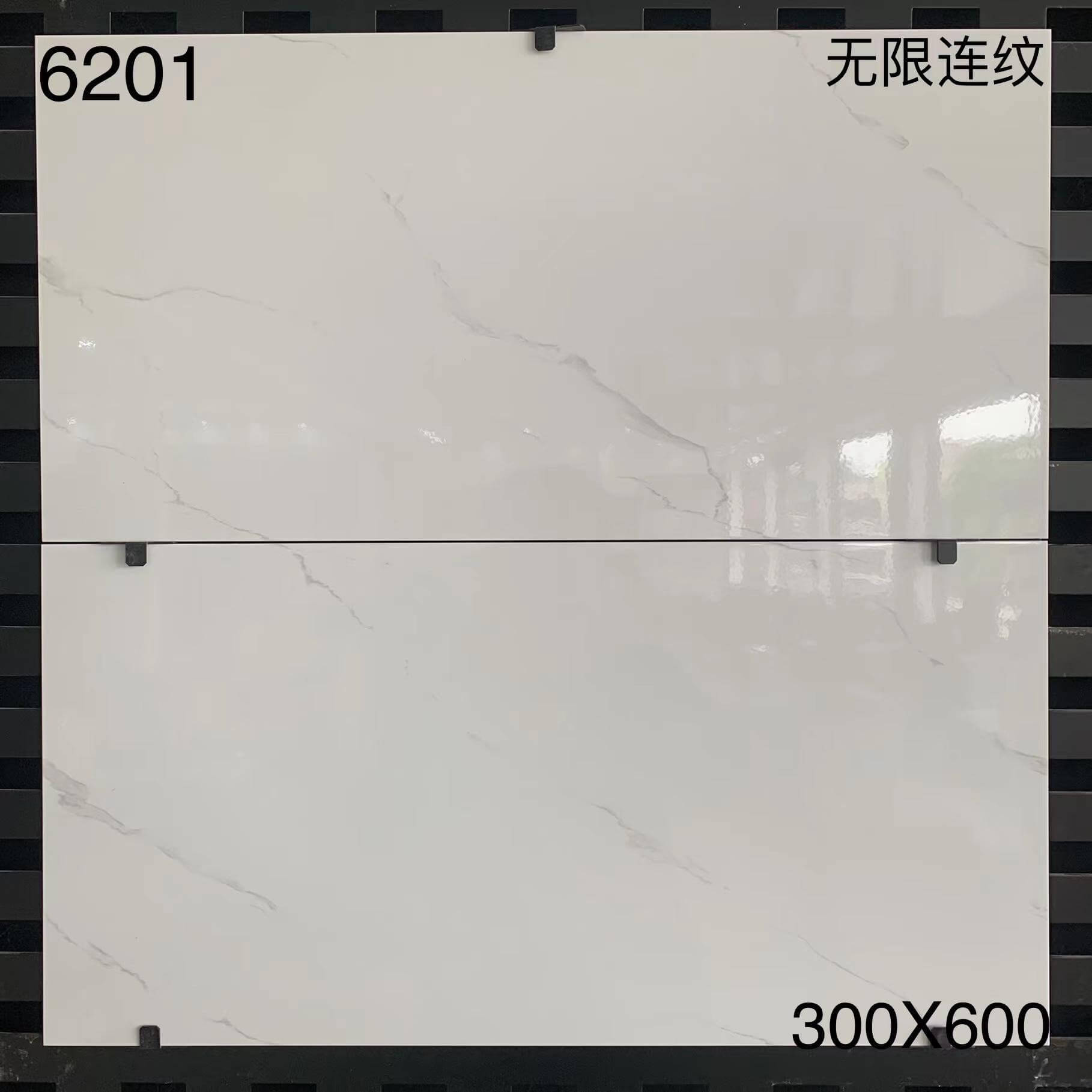 6201