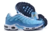 TN bottom-39-47-blue surface blue hook