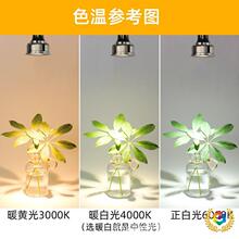 ?GU10 led����MR16���_�͉�12V3W220VGU5.3���COBͲ��E14�����