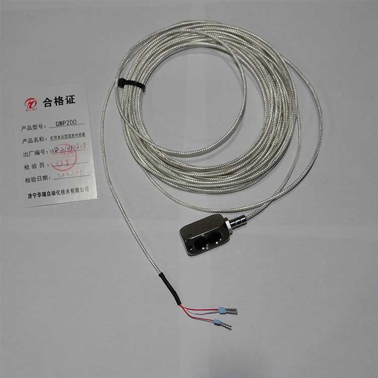 GWP200矿用pt100磁性探头吸附式热电阻本安型温度传感器厂家