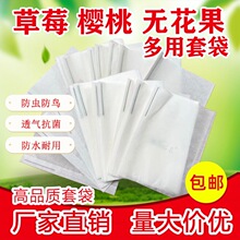 樱桃套袋草莓无花果套袋防鸟防虫病害防雨水育果袋车厘子蜡袋