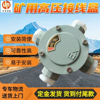 矿用防爆接线盒 支持定制高压接线盒 BHG1-200/6-4G电缆接线盒